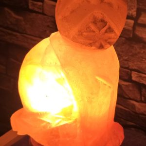 Cat shape lamp